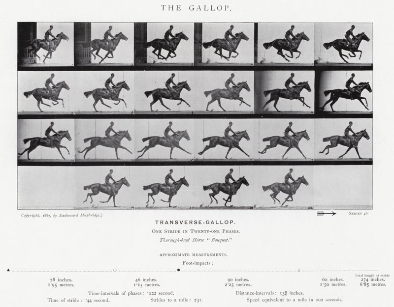 Eadweard Muybridge: O Galope (foto a p/b) de Eadweard Muybridge
