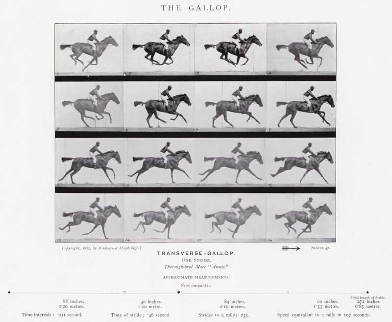 Eadweard Muybridge: O Galope (foto a p/b) de Eadweard Muybridge