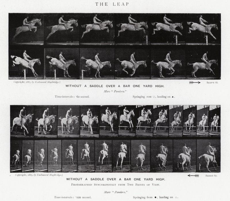 Eadweard Muybridge: O Salto (foto a p/b) de Eadweard Muybridge