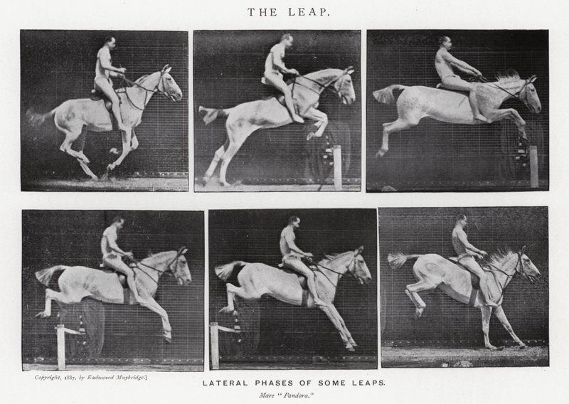 Eadweard Muybridge: O Salto (foto a p/b) de Eadweard Muybridge