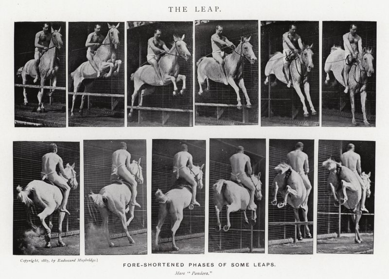 Eadweard Muybridge: O Salto (foto a p/b) de Eadweard Muybridge