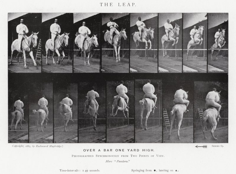 Eadweard Muybridge: O Salto (foto a p/b) de Eadweard Muybridge