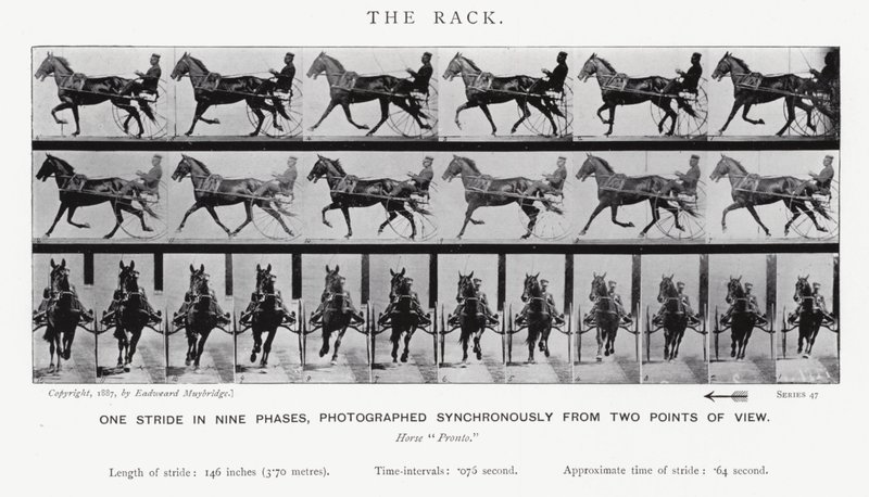 Eadweard Muybridge: O Rack (foto a p/b) de Eadweard Muybridge