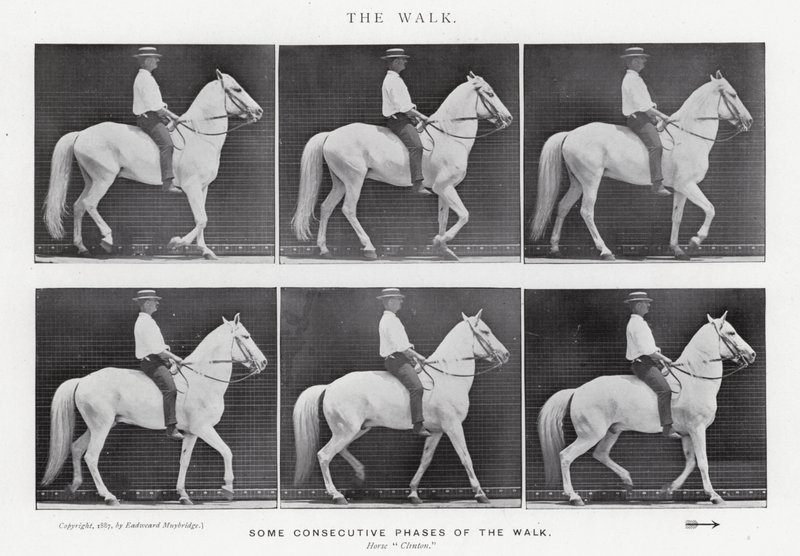 Eadweard Muybridge: A Caminhada (foto a p/b) de Eadweard Muybridge