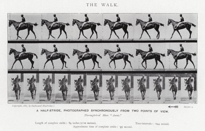 Eadweard Muybridge: A Caminhada (foto a p/b) de Eadweard Muybridge