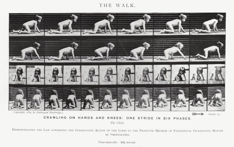 Eadweard Muybridge: A Caminhada (foto a p/b) de Eadweard Muybridge