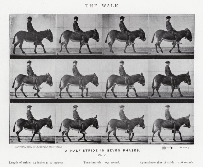 Eadweard Muybridge: A Caminhada (foto a p/b) de Eadweard Muybridge