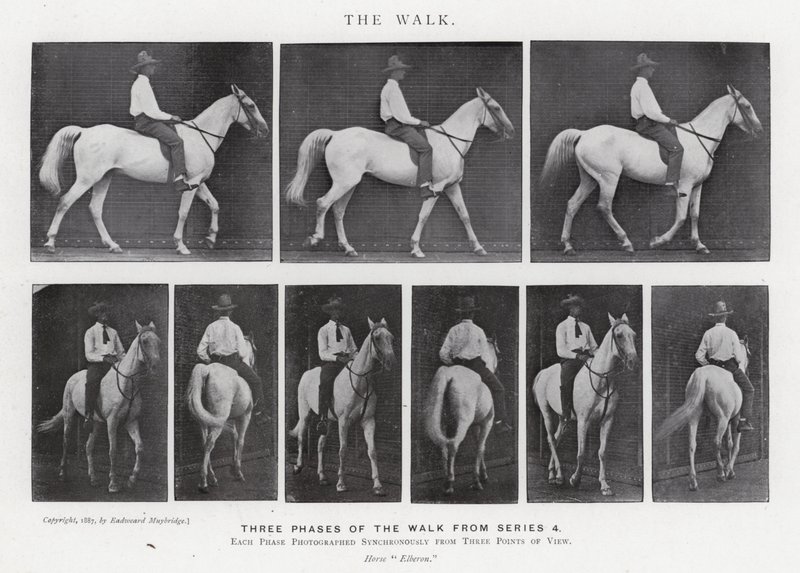 Eadweard Muybridge: A Caminhada (foto a p/b) de Eadweard Muybridge