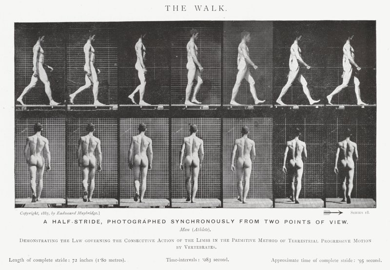 Eadweard Muybridge: A Caminhada (foto a p/b) de Eadweard Muybridge