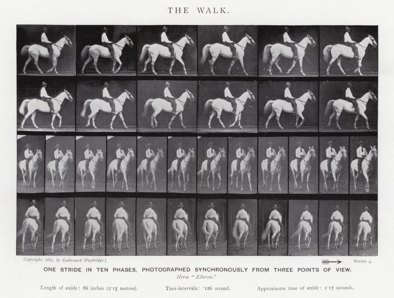 Eadweard Muybridge: A Caminhada (foto a p/b) de Eadweard Muybridge