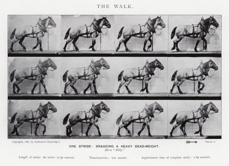Eadweard Muybridge: The Walk de Eadweard Muybridge