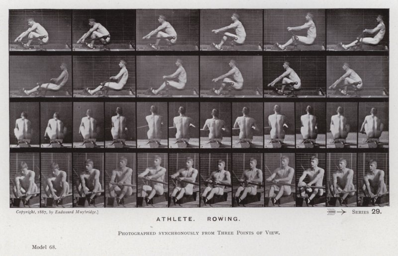 A Figura Humana em Movimento: Atleta, Remo (foto a p/b) de Eadweard Muybridge