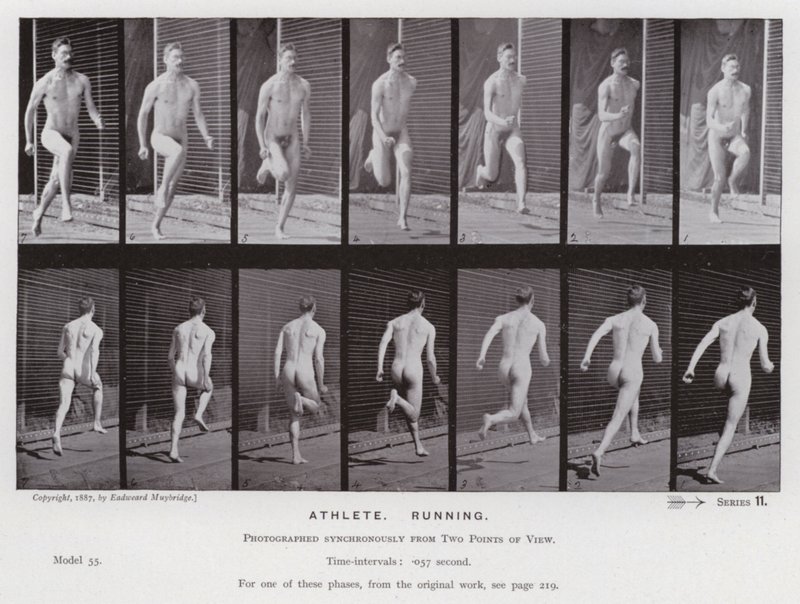 A Figura Humana em Movimento: Atleta, Corrida (foto a p/b) de Eadweard Muybridge
