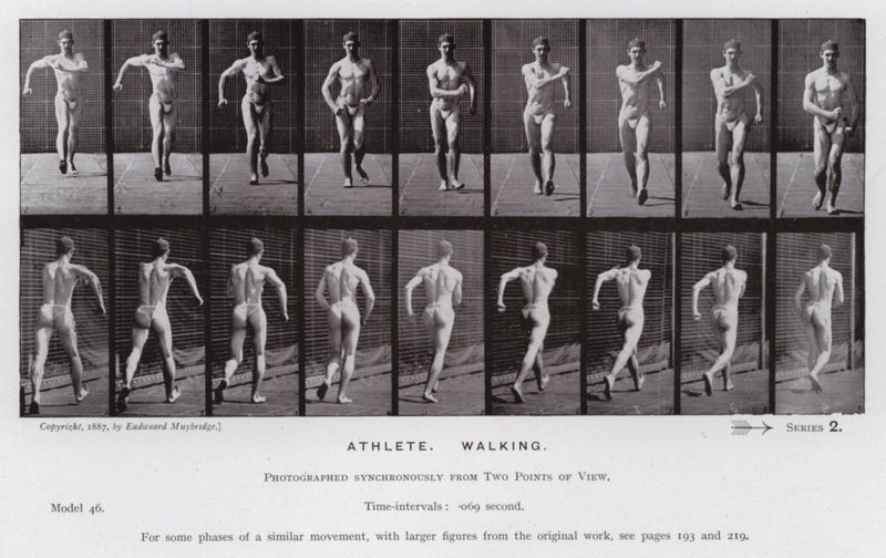A Figura Humana em Movimento: Atleta, Caminhando (foto a p/b) de Eadweard Muybridge