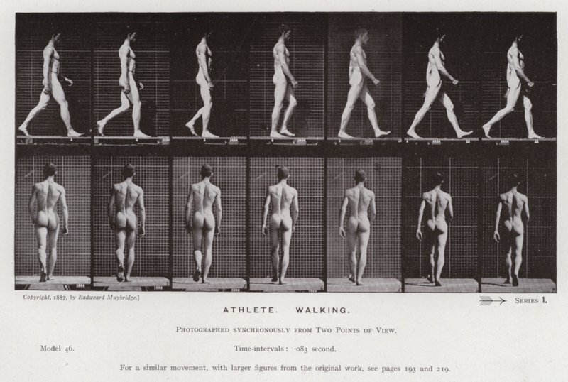 A Figura Humana em Movimento: Atleta, Caminhando (foto a p/b) de Eadweard Muybridge