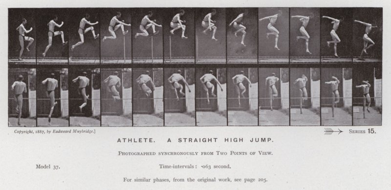 A Figura Humana em Movimento: Atleta, um salto direito em altura (foto a p/b) de Eadweard Muybridge