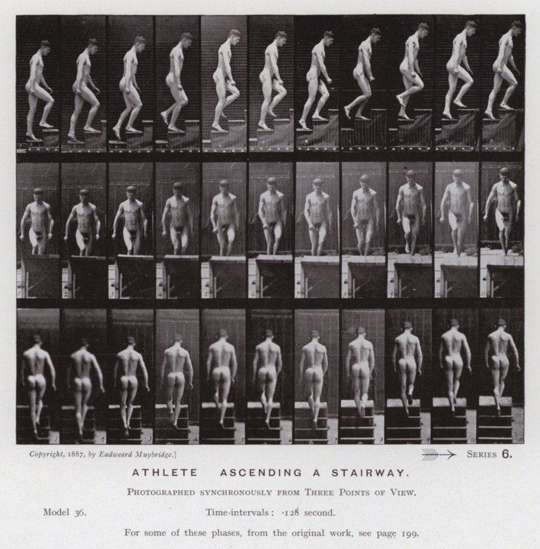 A Figura Humana em Movimento: Atleta, subindo uma escadaria (foto a p/b) de Eadweard Muybridge