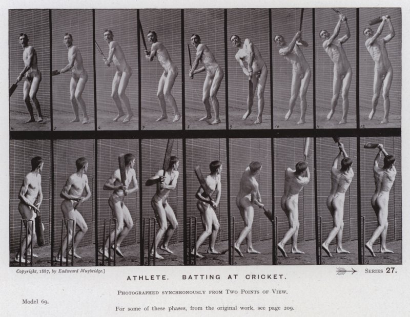 A Figura Humana em Movimento: Atleta, batendo no cricket (foto a p/b) de Eadweard Muybridge