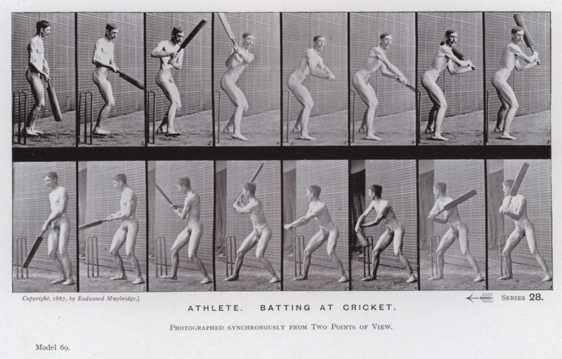 A Figura Humana em Movimento: Atleta, batendo no cricket (foto a p/b) de Eadweard Muybridge