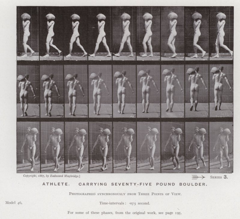 A Figura Humana em Movimento: Atleta, carregando uma pedra de 75 quilos (foto a p/b) de Eadweard Muybridge