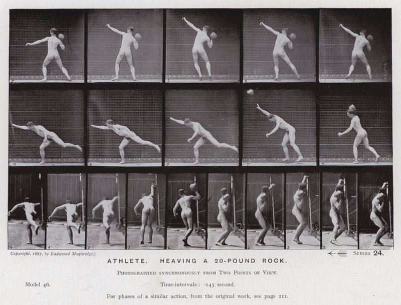 A Figura Humana em Movimento: Atleta, atirando uma pedra de 20 libras (foto a p/b) de Eadweard Muybridge