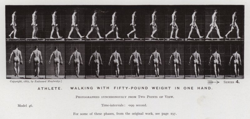 A Figura Humana em Movimento: Atleta, caminhando com 50 quilos de peso em uma mão (foto a p/b) de Eadweard Muybridge