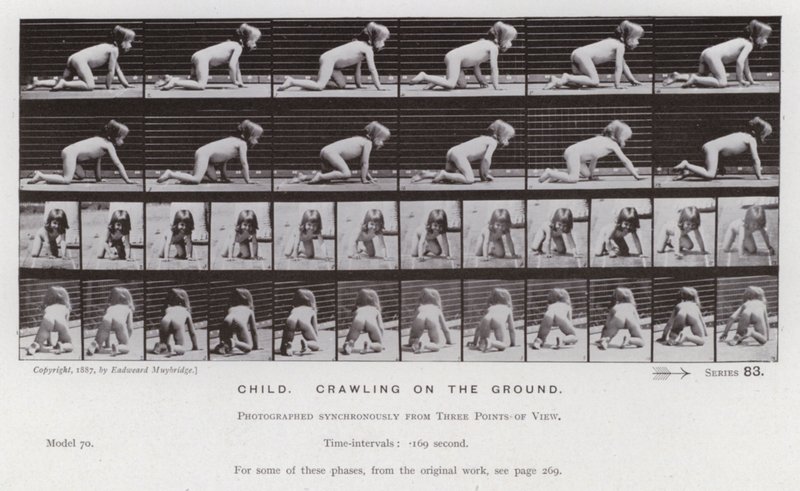 A Figura Humana em Movimento: Criança, rastejando no chão de Eadweard Muybridge