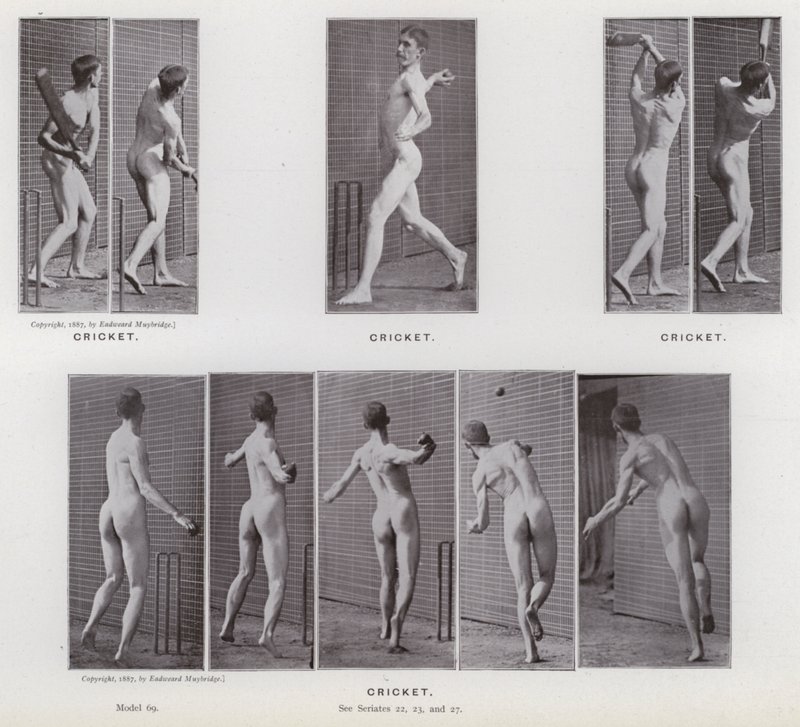 A Figura Humana em Movimento: Críquete (foto a p/b) de Eadweard Muybridge