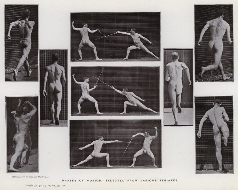 A Figura Humana em Movimento: Fases do movimento, seleccionadas de várias séries (foto a p/b) de Eadweard Muybridge