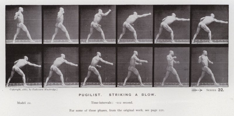 A Figura Humana em Movimento: Pugilista, golpeando um golpe (foto a p/b) de Eadweard Muybridge