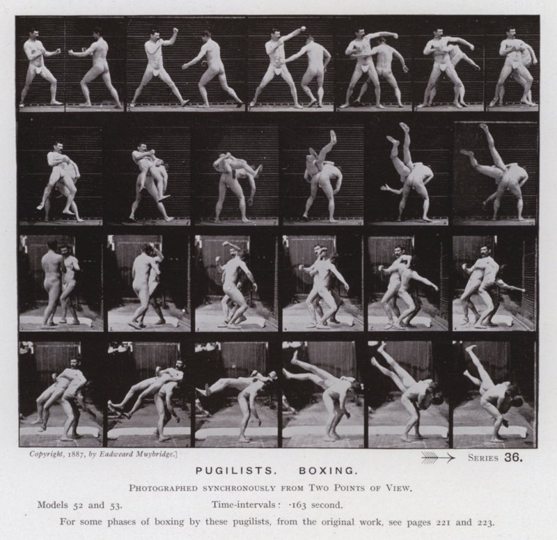 A Figura Humana em Movimento: Pugilistas, Boxe (foto a p/b) de Eadweard Muybridge