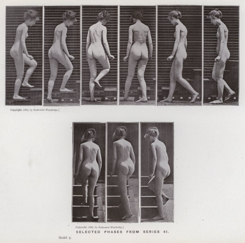 A Figura Humana em Movimento: Fases selecionadas da série 41 (foto a p/b) de Eadweard Muybridge