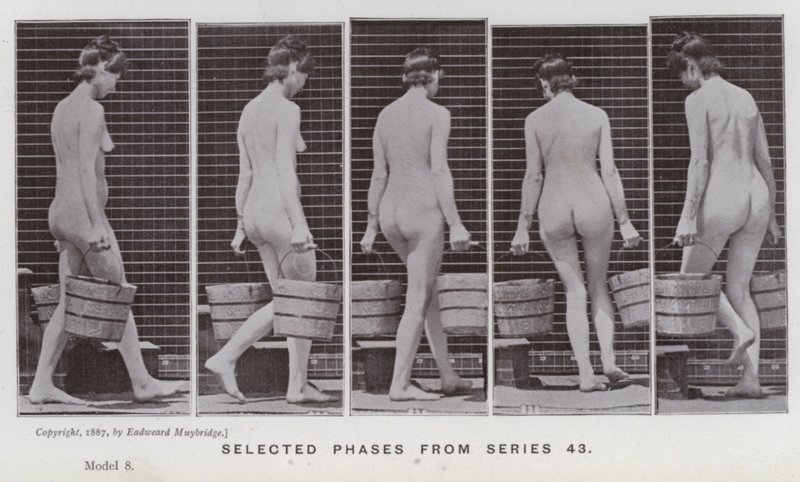A Figura Humana em Movimento: Fases selecionadas da série 43 (foto a p/b) de Eadweard Muybridge