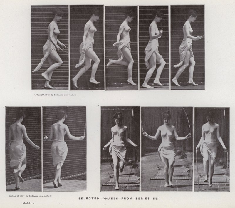 A Figura Humana em Movimento: Fases selecionadas da série 53 (foto a p/b) de Eadweard Muybridge