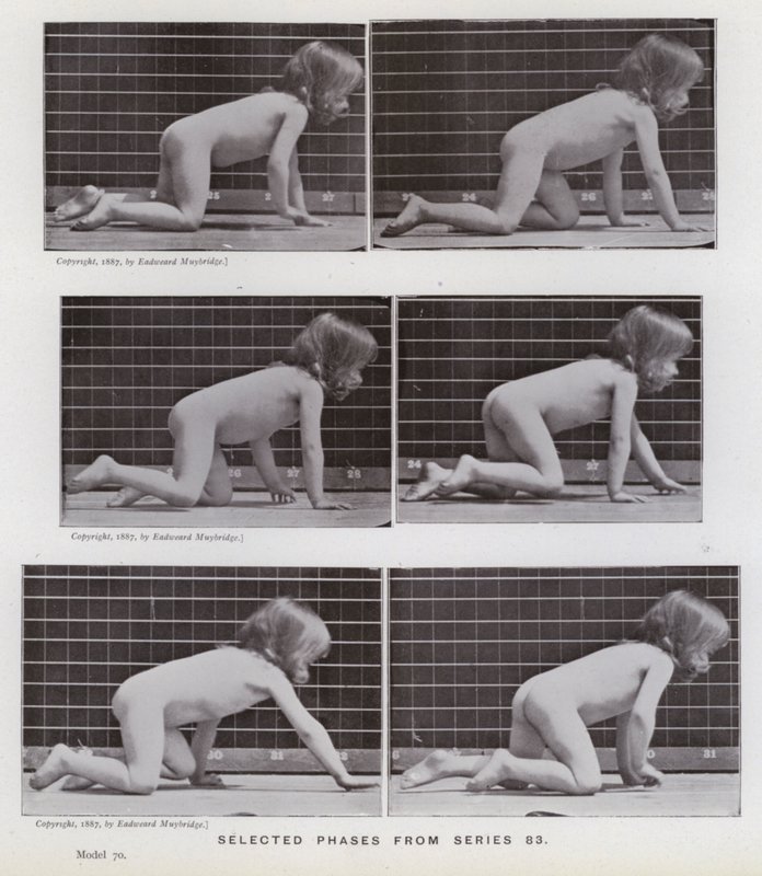 A Figura Humana em Movimento: Fases selecionadas da série 83 (foto a p/b) de Eadweard Muybridge