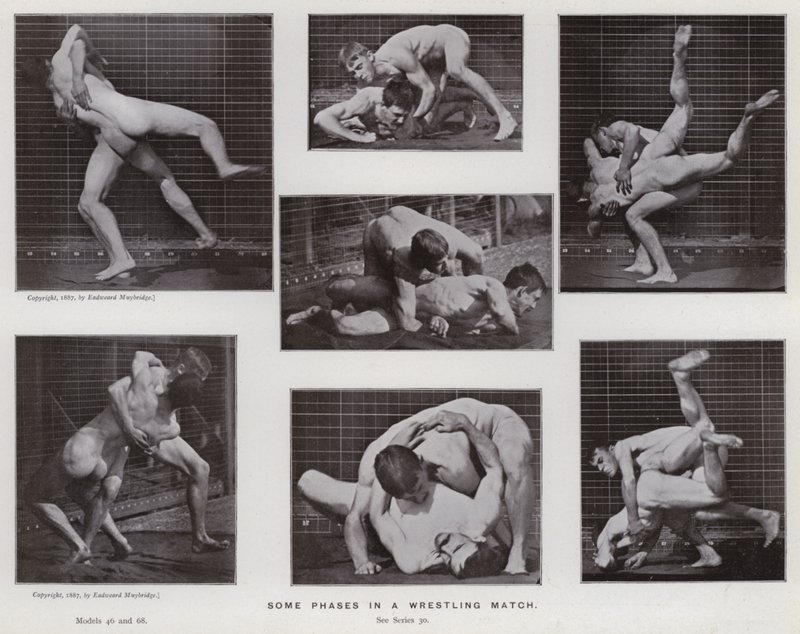 A Figura Humana em Movimento: Algumas fases de um combate de wrestling (foto a p/b) de Eadweard Muybridge
