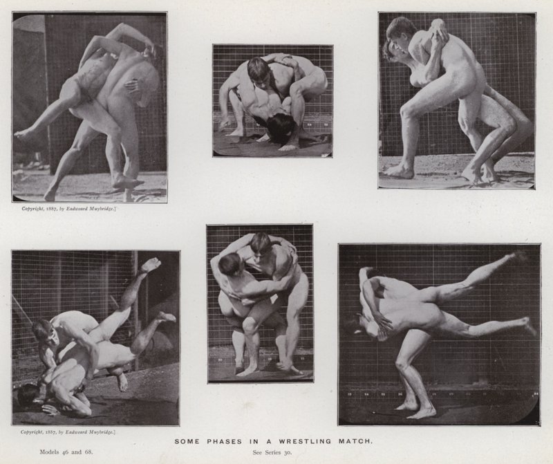 A figura humana em movimento: algumas fases em uma partida de luta livre de Eadweard Muybridge