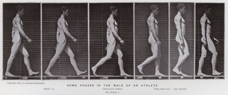 A Figura Humana em Movimento: Algumas fases da caminhada de um atleta (foto a p/b) de Eadweard Muybridge