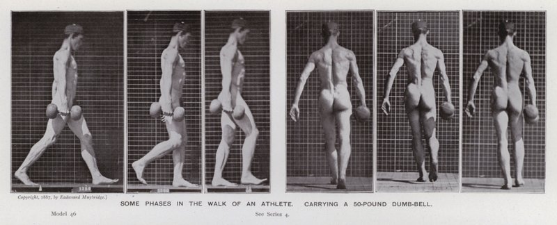 A Figura Humana em Movimento: Algumas fases da caminhada de um atleta, carregando um sino mudo de 50 libras (foto a p/b) de Eadweard Muybridge