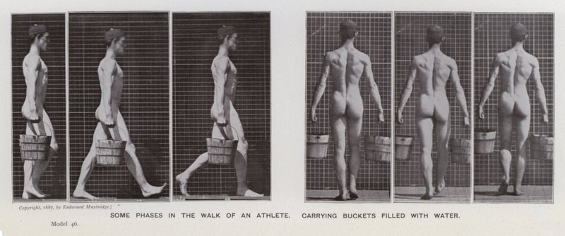 A Figura Humana em Movimento: Algumas fases da caminhada de um atleta, carregando baldes cheios de água (foto a p/b) de Eadweard Muybridge