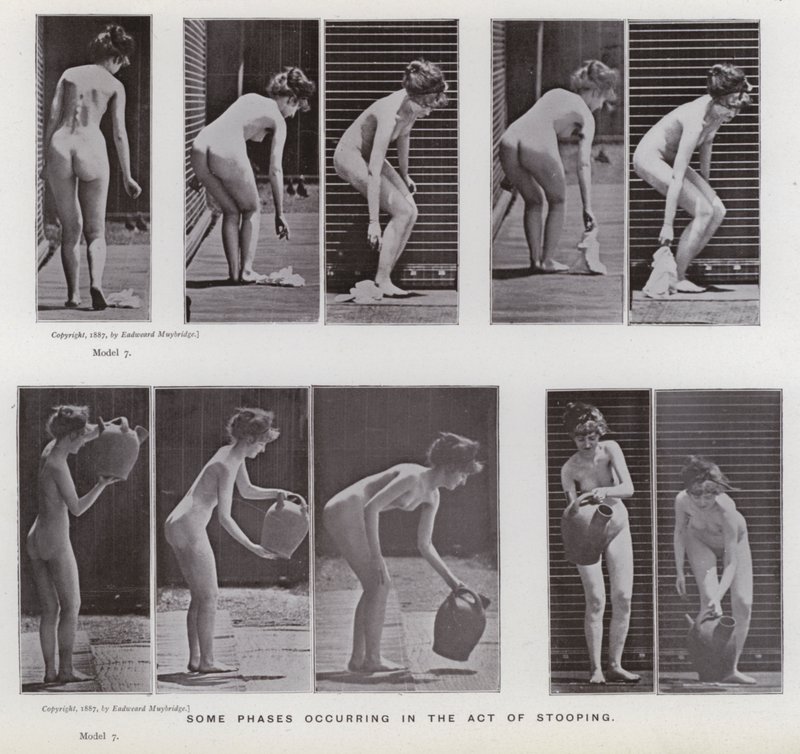 A Figura Humana em Movimento: Algumas fases que ocorrem no ato de se curvar de Eadweard Muybridge