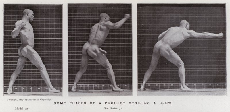 A Figura Humana em Movimento: Algumas fases de um pugilista a dar um golpe (foto a p/b) de Eadweard Muybridge