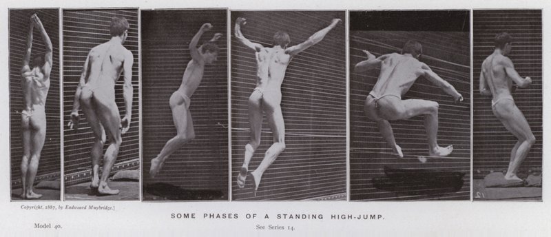 A figura humana em movimento: algumas fases de um salto em altura em pé de Eadweard Muybridge