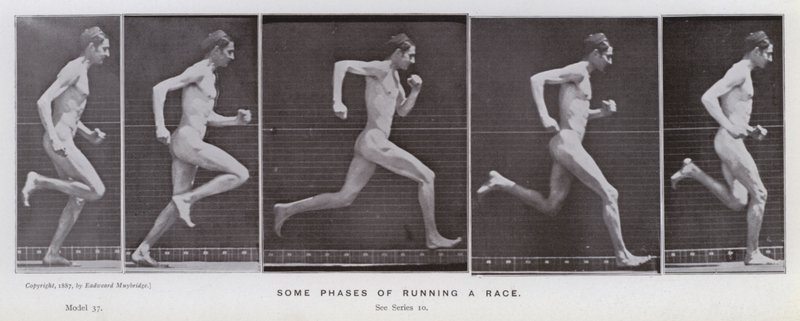 A Figura Humana em Movimento: Algumas fases da corrida (foto a p/b) de Eadweard Muybridge