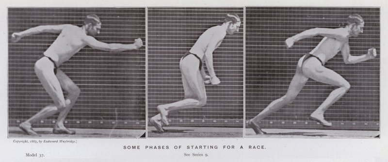 A Figura Humana em Movimento: Algumas fases do início de uma raça (foto a p/b) de Eadweard Muybridge
