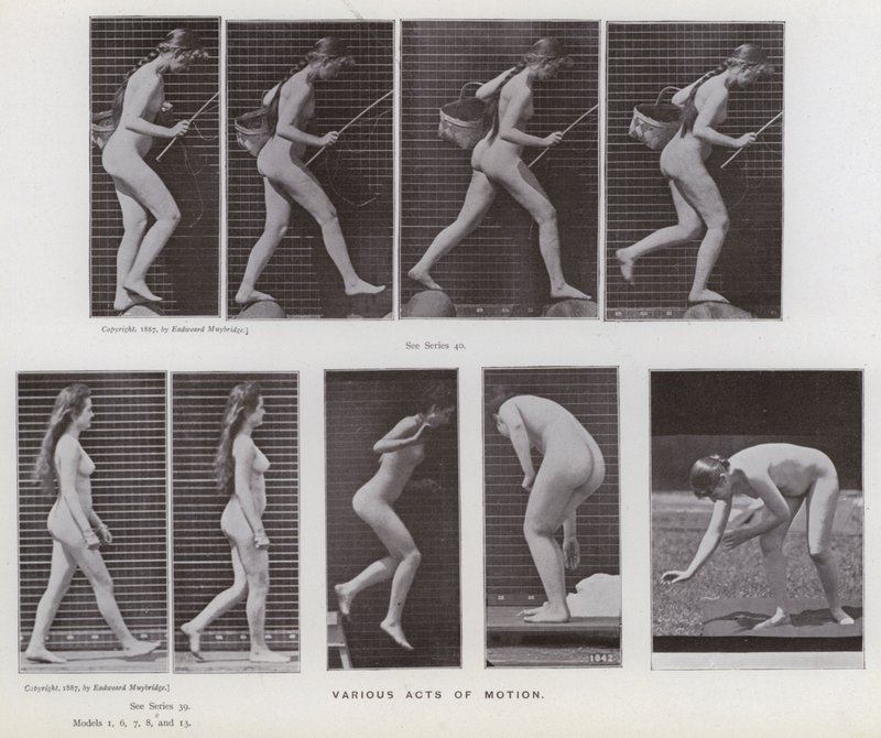 A Figura Humana em Movimento: Vários atos de movimento (foto a p/b) de Eadweard Muybridge