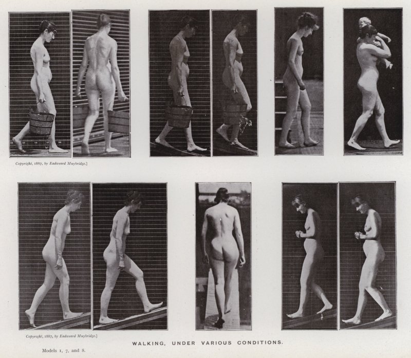 A Figura Humana em Movimento: Caminhando, sob várias condições (foto a p/b) de Eadweard Muybridge