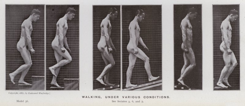 A Figura Humana em Movimento: Caminhando, sob várias condições (foto a p/b) de Eadweard Muybridge