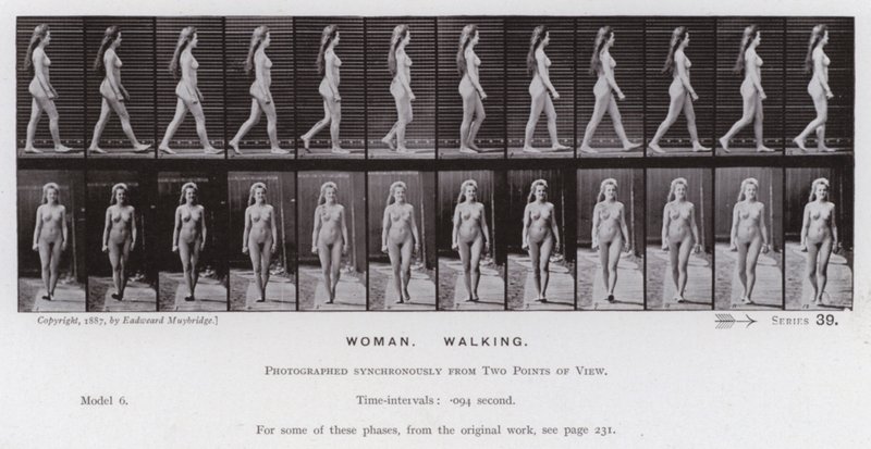 A Figura Humana em Movimento: Mulher, Caminhando (foto a p/b) de Eadweard Muybridge
