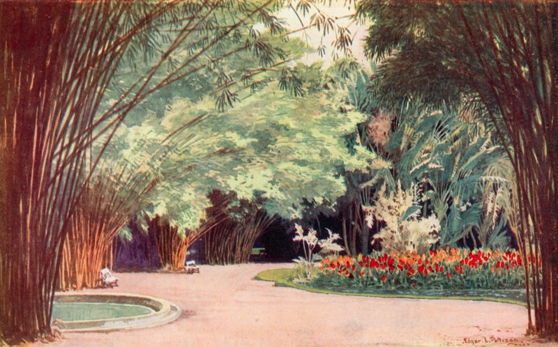 Um Bosque de Bambu, Jardim Botânico (lito colorido) de Edgar L. Pattison